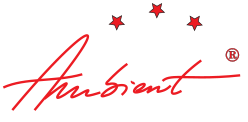 Pensiune Ambient Logo